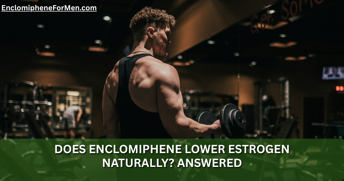 Does Enclomiphene Lower Estrogen Naturally? Answered