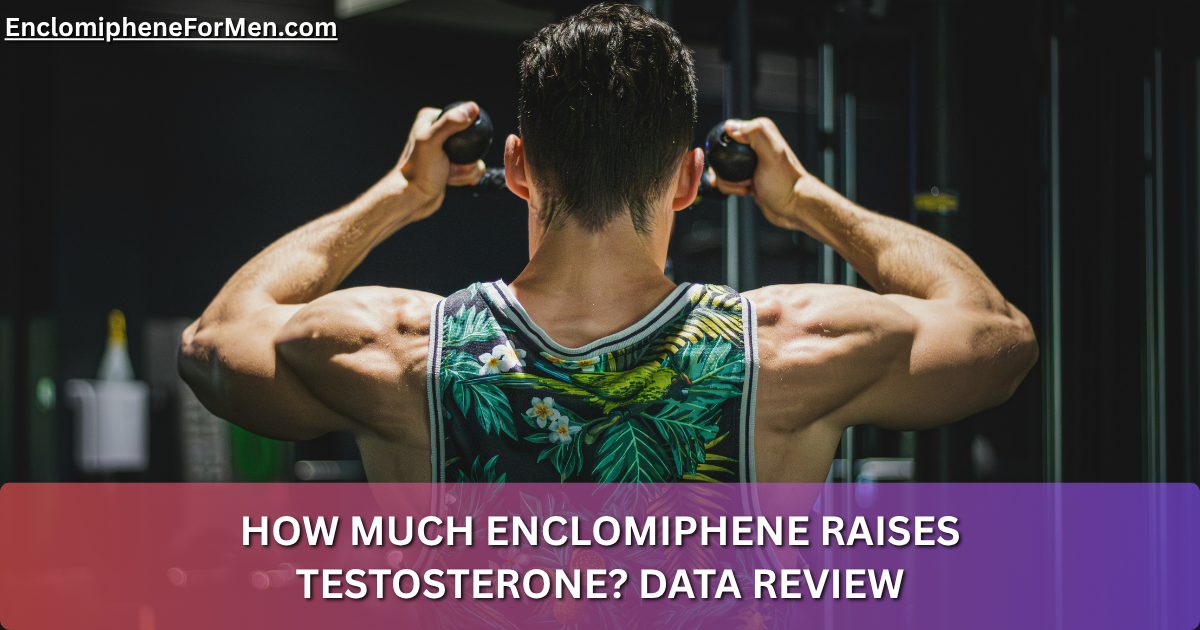 How Much Enclomiphene Raises Testosterone? Data Review